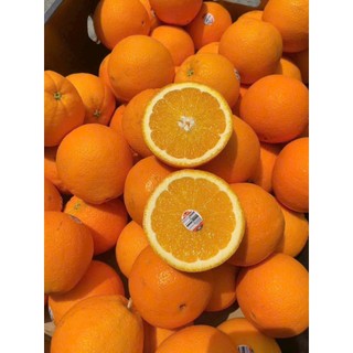 [ HOẢ TỐC ] [ JENNY FRUIT ] Giỏ quà tặng trái cây kèm bông BT201