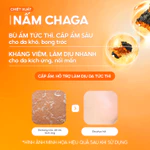 [SALE] Toner Nấm Chaga GGG Cấp Ẩm, Làm Dịu, Giảm Viêm Làm Dịu Da - G.G.G Calming Mushroom Toner 200ml — ảnh 4