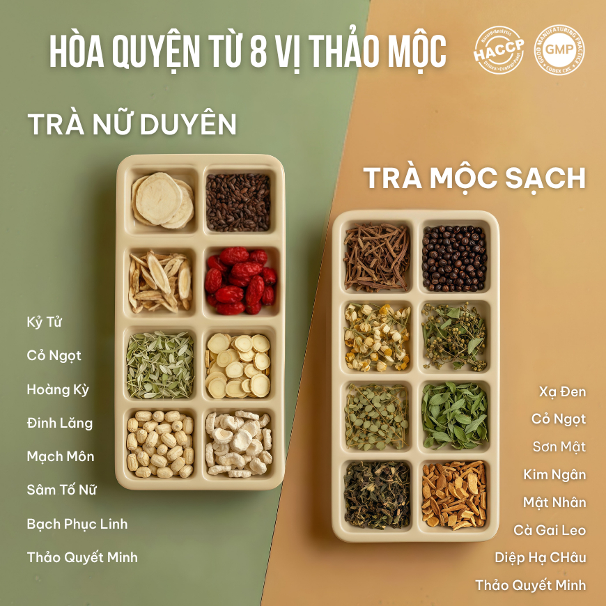 Combo 2 Trà Túi Lọc Sâm Tố Nữ + Cà Gai Leo VIEGREEN 30x5g + 50x3g, GMP HACCP