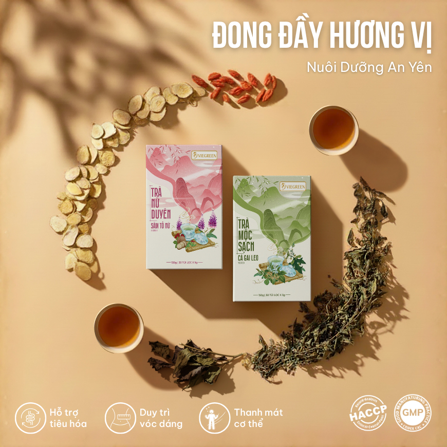 Combo 2 Trà Túi Lọc Sâm Tố Nữ + Cà Gai Leo VIEGREEN 30x5g + 50x3g, GMP HACCP