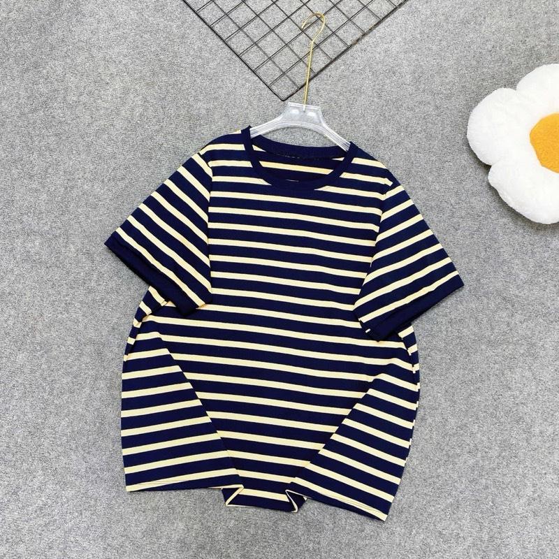 Set Đồ Bộ Nữ Bigsize Dáng Rộng – Áo Phông Kẻ Kèm Quần Short Đùi–Có Bán Lẻ Áo Đậu Bigsize A308+Q500