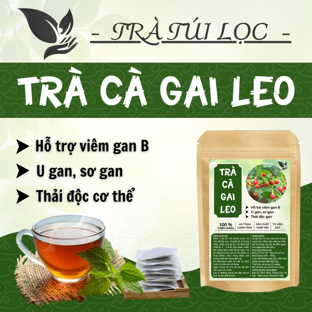 HÒA BÌNH ORGANIC - Trà Túi Lọc Cà Gai Leo - Thanh nhiệt, thanh lọc, thải độc g.a.n - Bịch 50 lọc