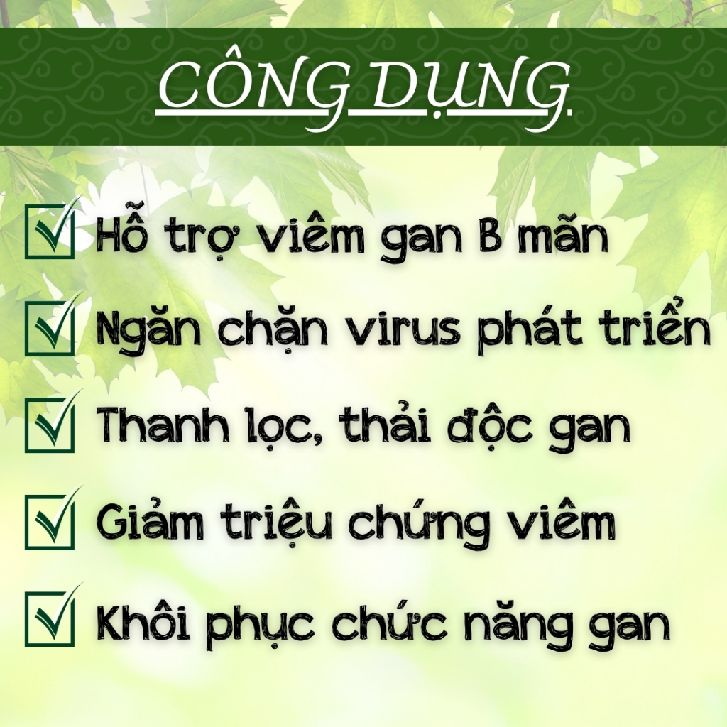 HÒA BÌNH ORGANIC - Trà Túi Lọc Cà Gai Leo - Thanh nhiệt, thanh lọc, thải độc g.a.n - Bịch 50 lọc