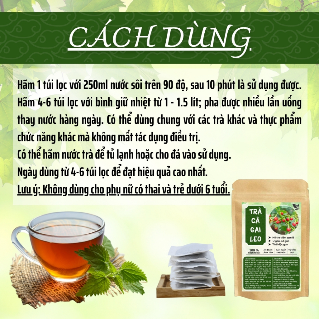 HÒA BÌNH ORGANIC - Trà Túi Lọc Cà Gai Leo - Thanh nhiệt, thanh lọc, thải độc g.a.n - Bịch 50 lọc