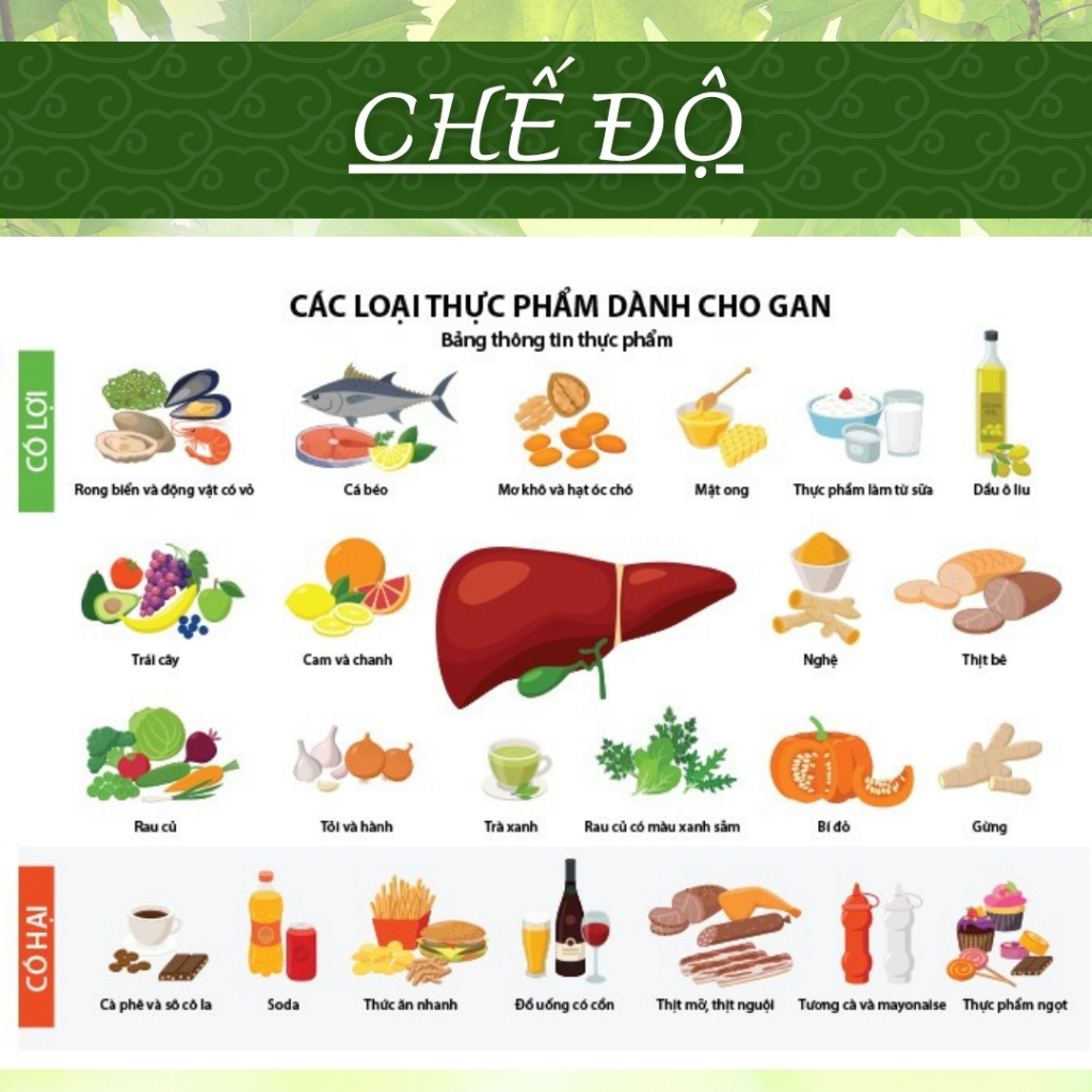 HÒA BÌNH ORGANIC - Trà Túi Lọc Cà Gai Leo - Thanh nhiệt, thanh lọc, thải độc g.a.n - Bịch 50 lọc