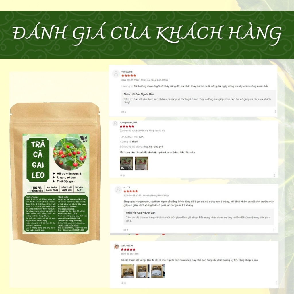 HÒA BÌNH ORGANIC - Trà Túi Lọc Cà Gai Leo - Thanh nhiệt, thanh lọc, thải độc g.a.n - Bịch 50 lọc