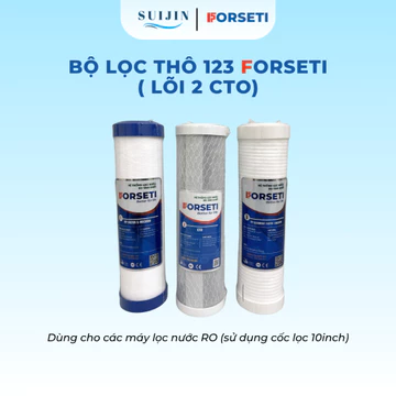 Bộ 3 Lõi Thô 123 (Lõi 2 CTO Lưới) FORSETI dùng cho máy lọc nước có 3 cốc lọc 10inch