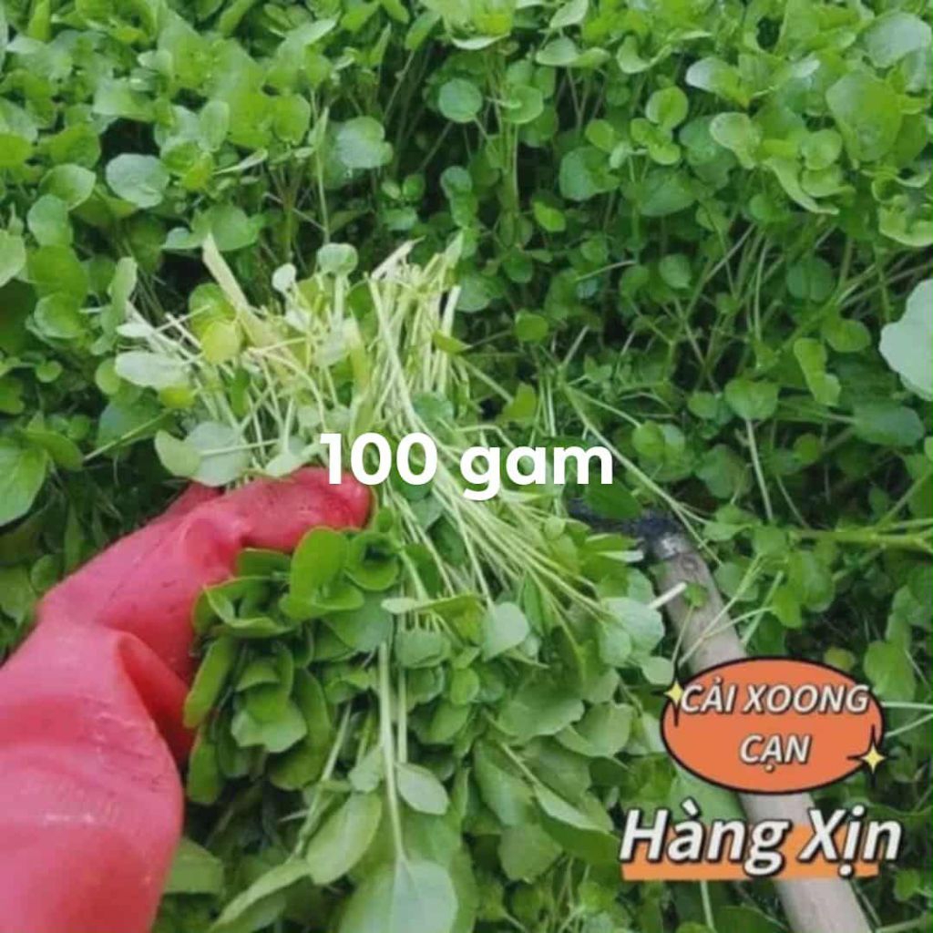 Theo Kg,Lạng Giá Sỉ Nhà Vườn Trồng Nhiều