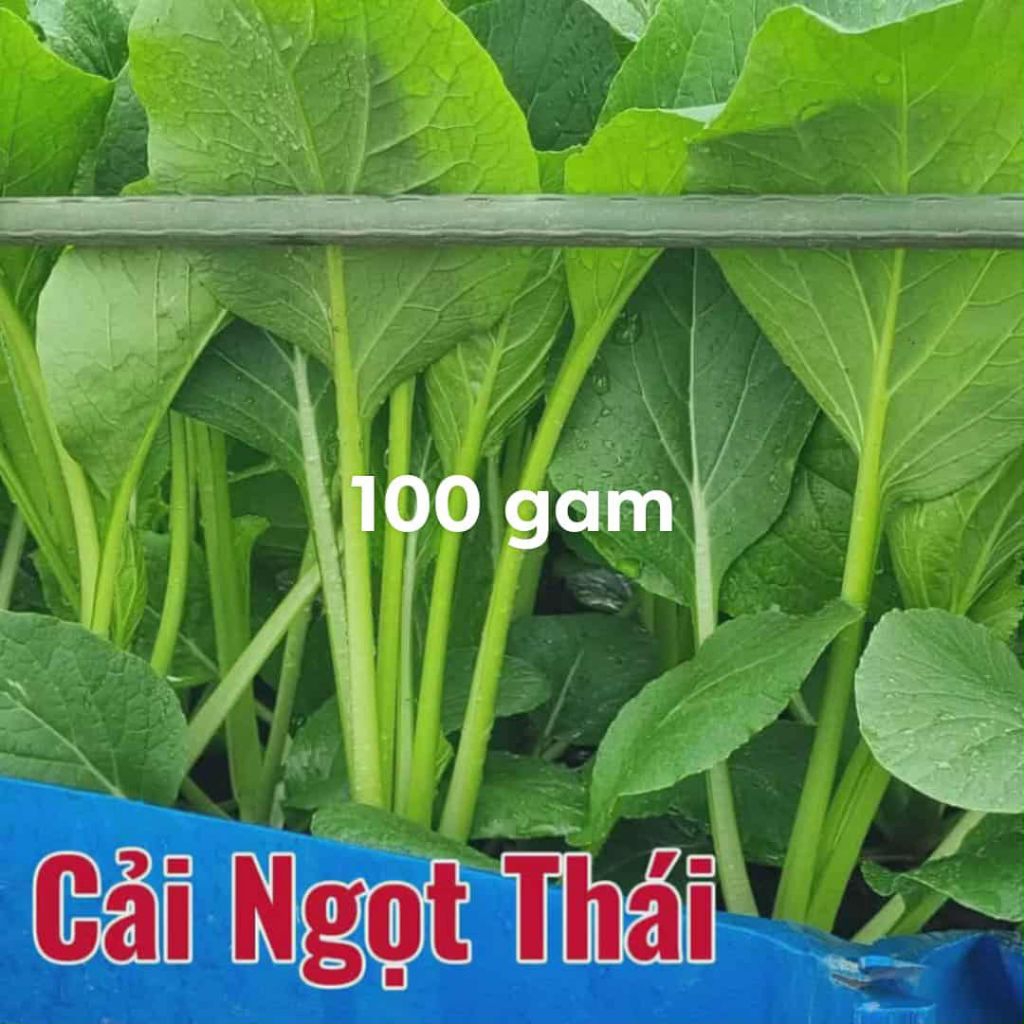 Theo Kg,Lạng Giá Sỉ Nhà Vườn Trồng Nhiều