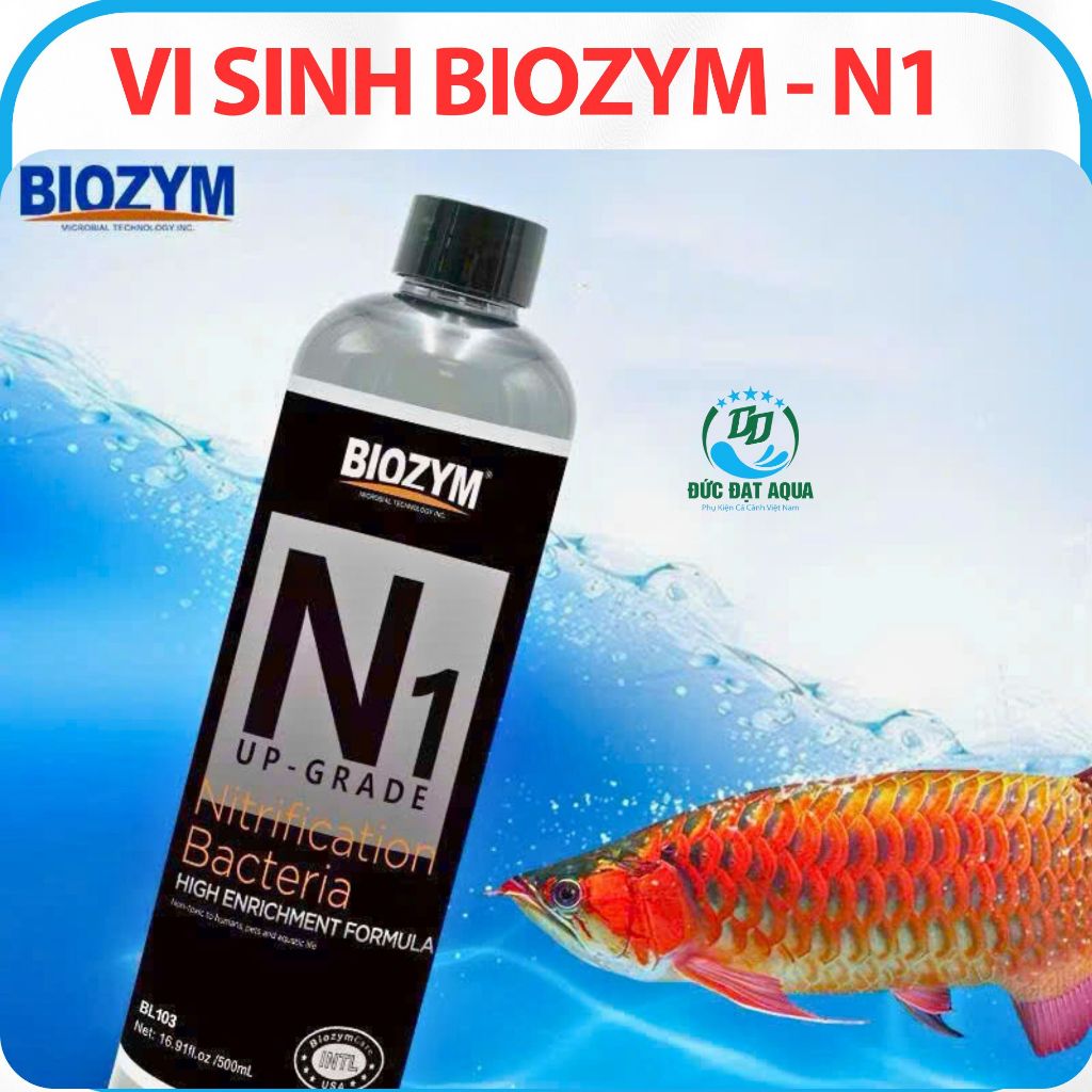 Vi Sinh sống. Biozym N1, 500ml- 1000ml Phân Hủy Amoniac, làm trong Nước, giảm mùi hôi tanh Thủy Sinh 2