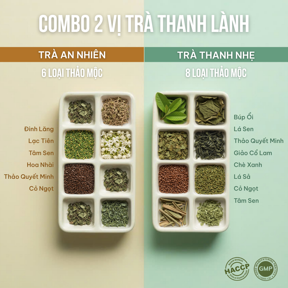 Combo 2 Trà Túi Lọc Đinh Lăng + Búp Ổi VIEGREEN 50x3g + 50x3g, GMP HACCP
