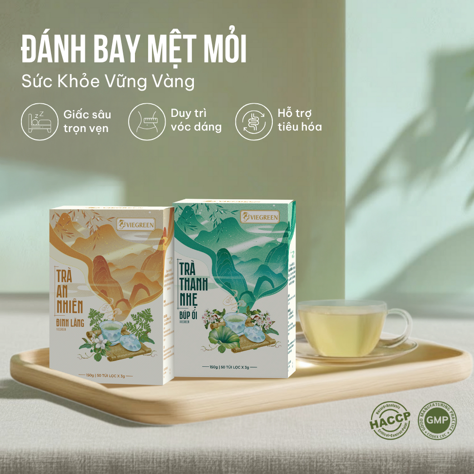 Combo 2 Trà Túi Lọc Đinh Lăng + Búp Ổi VIEGREEN 50x3g + 50x3g, GMP HACCP