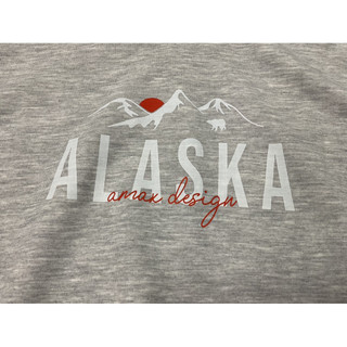 Áo Hoddie màu xám in( có big size ) không tag