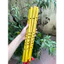 Sáo trúc - Sáo ngang Sáo trúc giá rẻ cho người mới chơi