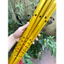 Sáo trúc - Sáo ngang Sáo trúc giá rẻ cho người mới chơi