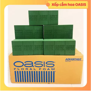 Sỉ Thùng 20 viên Xốp cắm hoa OASIS Loại 1 , chuyên dụng cắm hoa tươi giá siêu rẻ