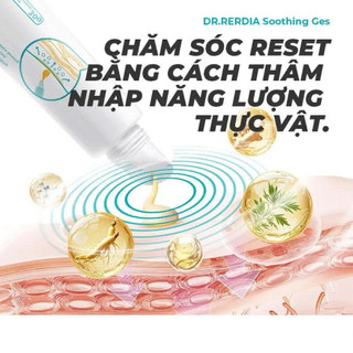 Gel Làm Dịu Da Dr.Rerdia Soothing Gel Hỗ Trợ Thư Giãn Vùng Cơ Khớp, Gel Nghệ Ngải Cứu Nhân Sâm Mềm Mịn 30g