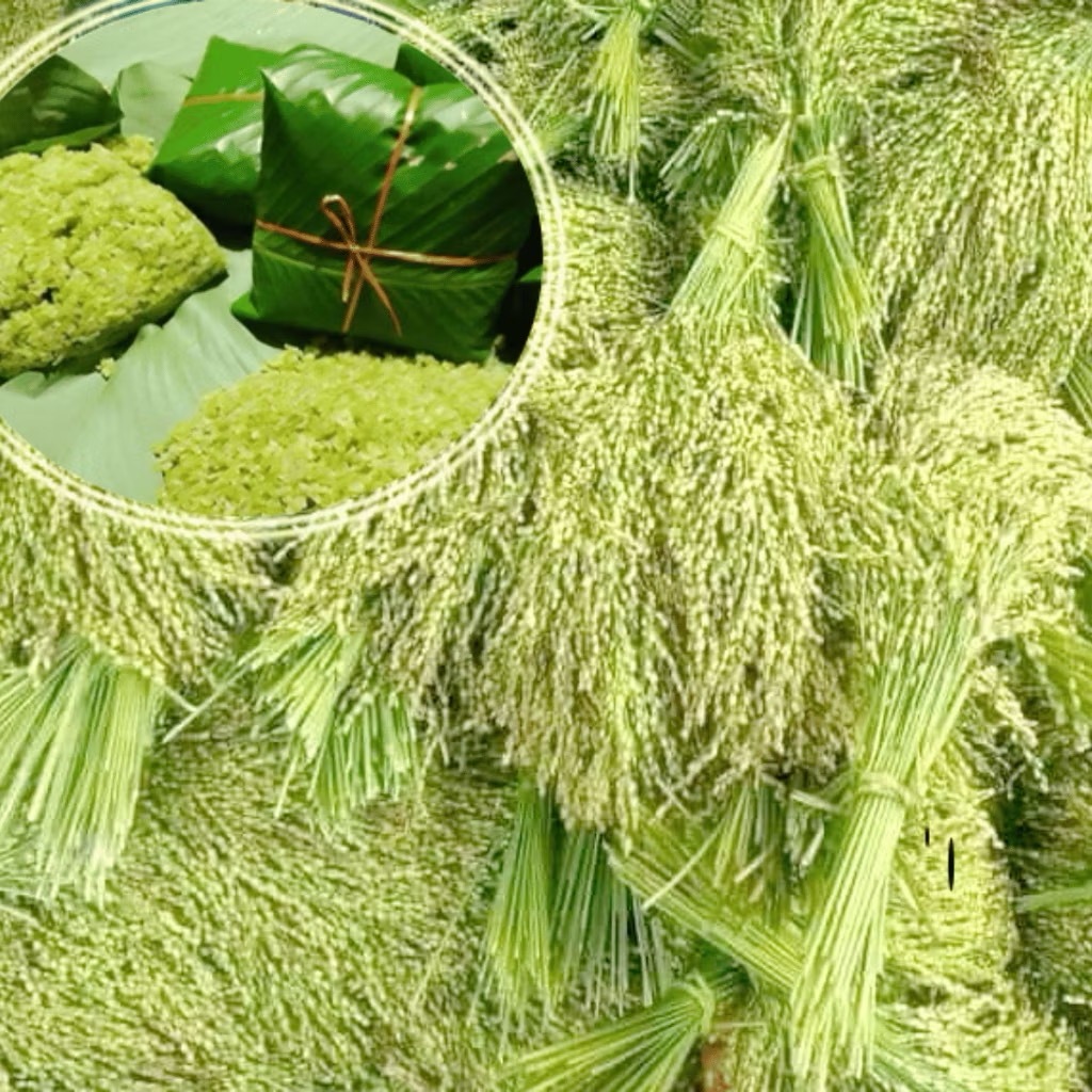 CỐM KHÔ -TÂM SHOP ĐẶC SẢN TRUYỀN THỐNG HÀ NÔI , Làm Quà, làm Xôi, Chè, chả,..CỐM KHÔ loại ngon dẻo )