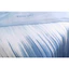 Bộ ga Hanvico Blue Sky DLT239 - Tencel 40s
