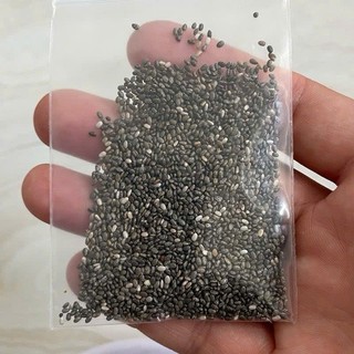 10g hạt chia đen hỗ trợ tiêu hoá cung cấp năng lượng dùng chưng yến nấu sâm