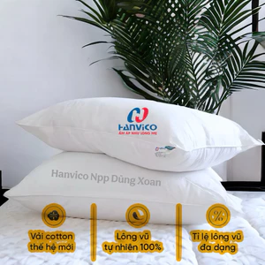 Ruột gối lông vũ tự nhiên Hanvico tiêu chuẩn khách sạn 5 sao
