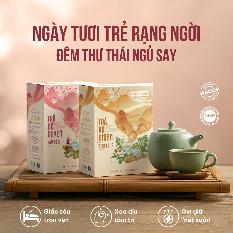 Combo 2 Trà Túi Lọc Sâm Tố Nữ + Đinh Lăng VIEGREEN 30x5g + 50x3g, GMP HACCP