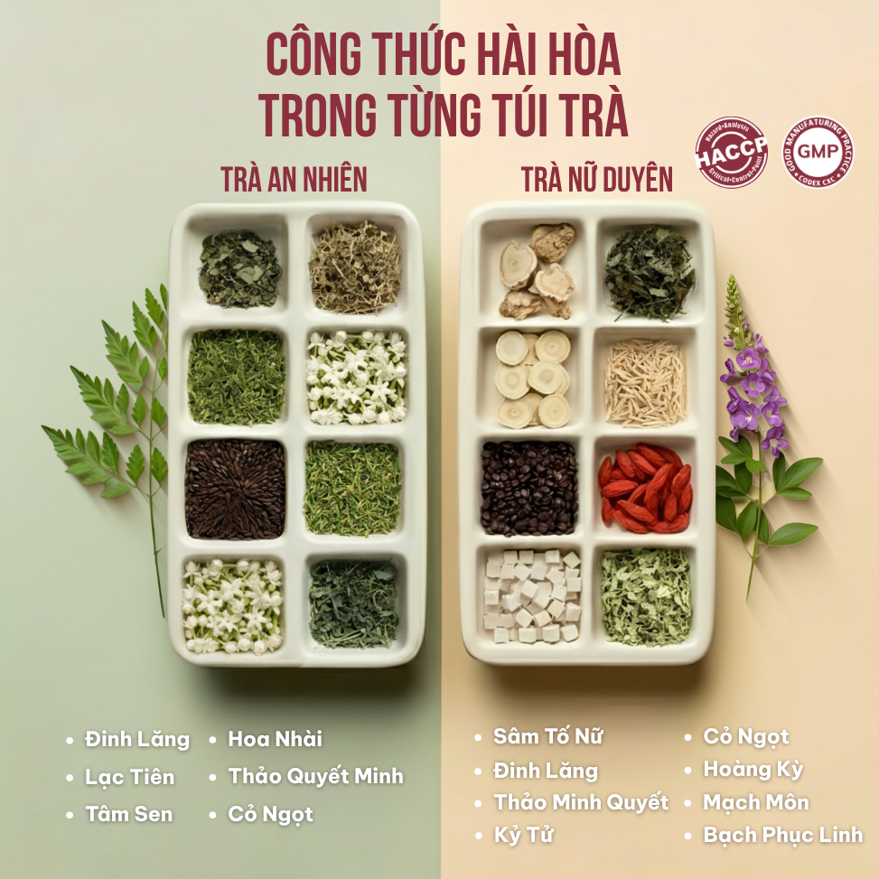 Combo 2 Trà Túi Lọc Sâm Tố Nữ + Đinh Lăng VIEGREEN 30x5g + 50x3g, GMP HACCP