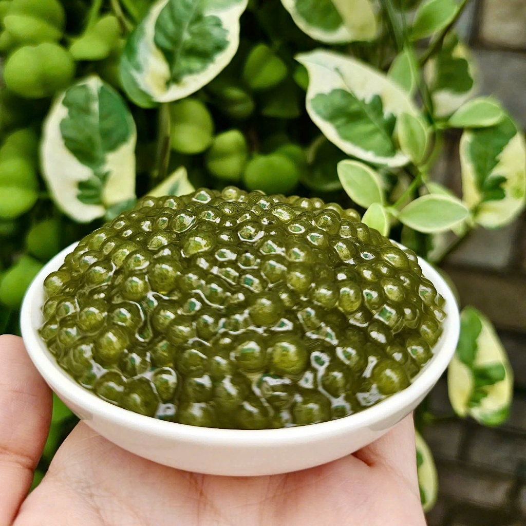 Trân Châu Mini Ô Long LONG PHÚ 1kg – Trân Châu Hạt Tiêu, Nguyên Liệu,Topping Trà Sữa, Chè, Olong Ô Long