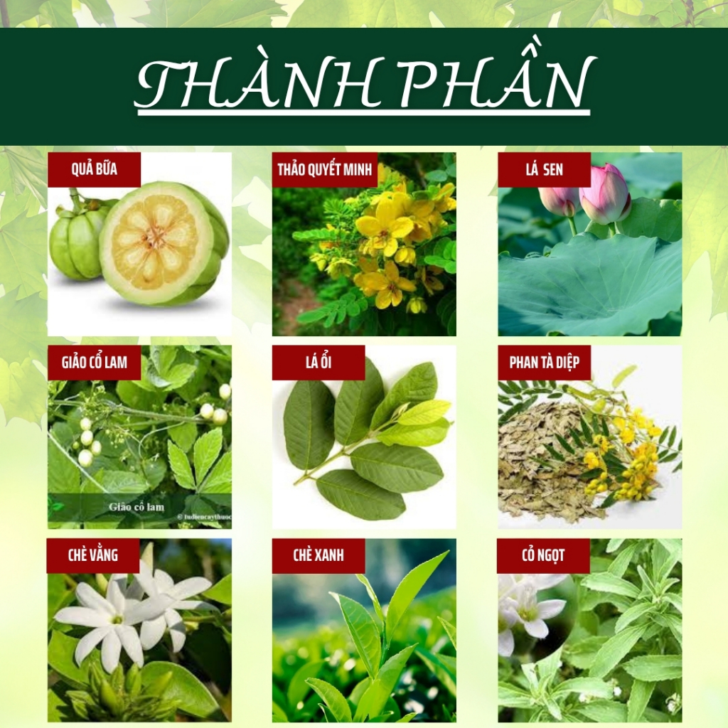 HÒA BÌNH ORGANIC - Trà Túi Lọc Lá Ổi - Thanh nhiệt, thanh lọc, Giảm cân - Bịch 50 lọc