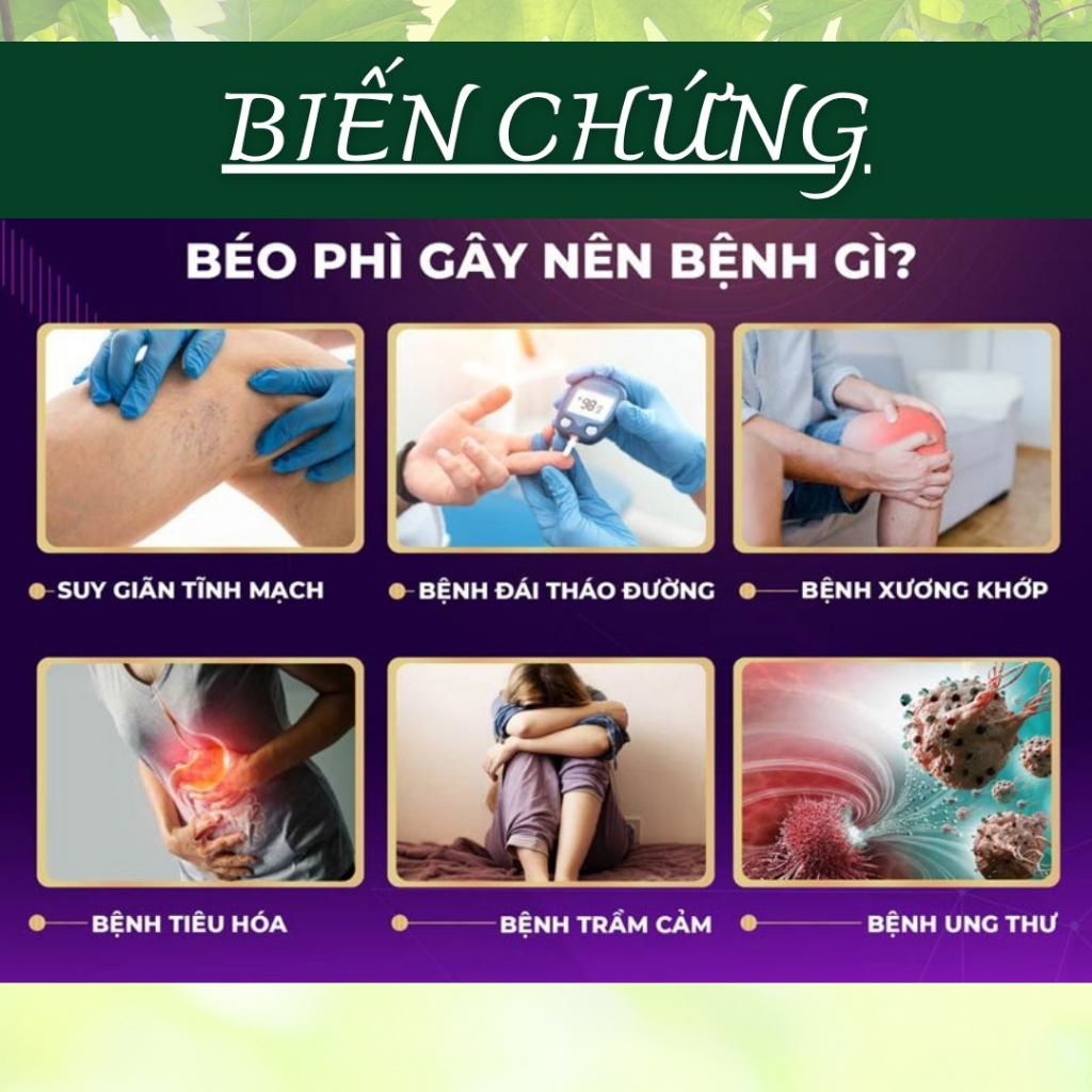 HÒA BÌNH ORGANIC - Trà Túi Lọc Lá Ổi - Thanh nhiệt, thanh lọc, Giảm cân - Bịch 50 lọc