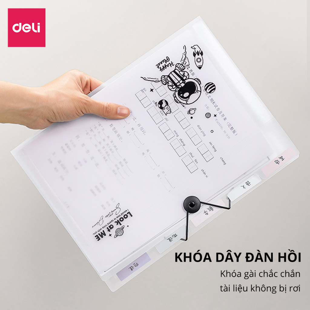 Túi đựng tài liệu A4 Deli Cặp hồ sơ 8/13 ngăn, phân loại tiện lợi, phù hợp văn phòng & học sinh