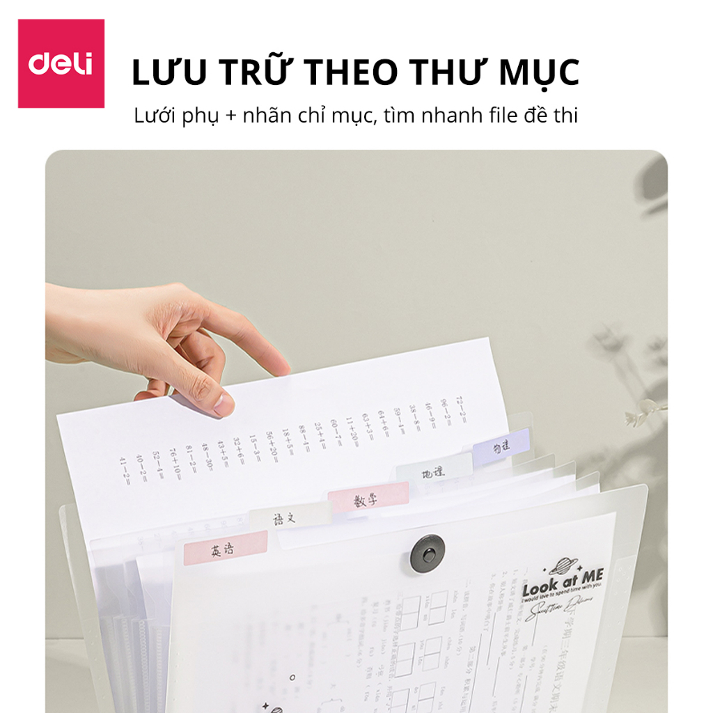 Túi đựng tài liệu A4 Deli Cặp hồ sơ 8/13 ngăn, phân loại tiện lợi, phù hợp văn phòng & học sinh