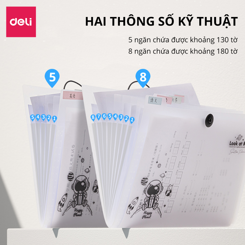 Túi đựng tài liệu A4 Deli Cặp hồ sơ 8/13 ngăn, phân loại tiện lợi, phù hợp văn phòng & học sinh