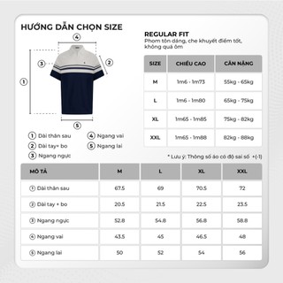 Áo polo nam cao cấp ASYL, BST FAMILY BEAR, Chất liệu mới CVC Diamond, thanh lịch - POLOMANOR