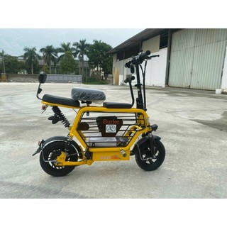 Gác chân xe điện lihaze, theli, burke...