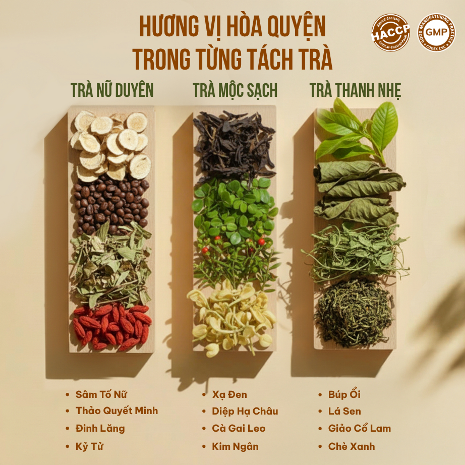Combo 3 Trà Túi Lọc Sâm Tố Nữ + Búp Ổi + Cà Gai Leo VIEGREEN 30x5g + 50x3g + 50x3g, GMP HACCP