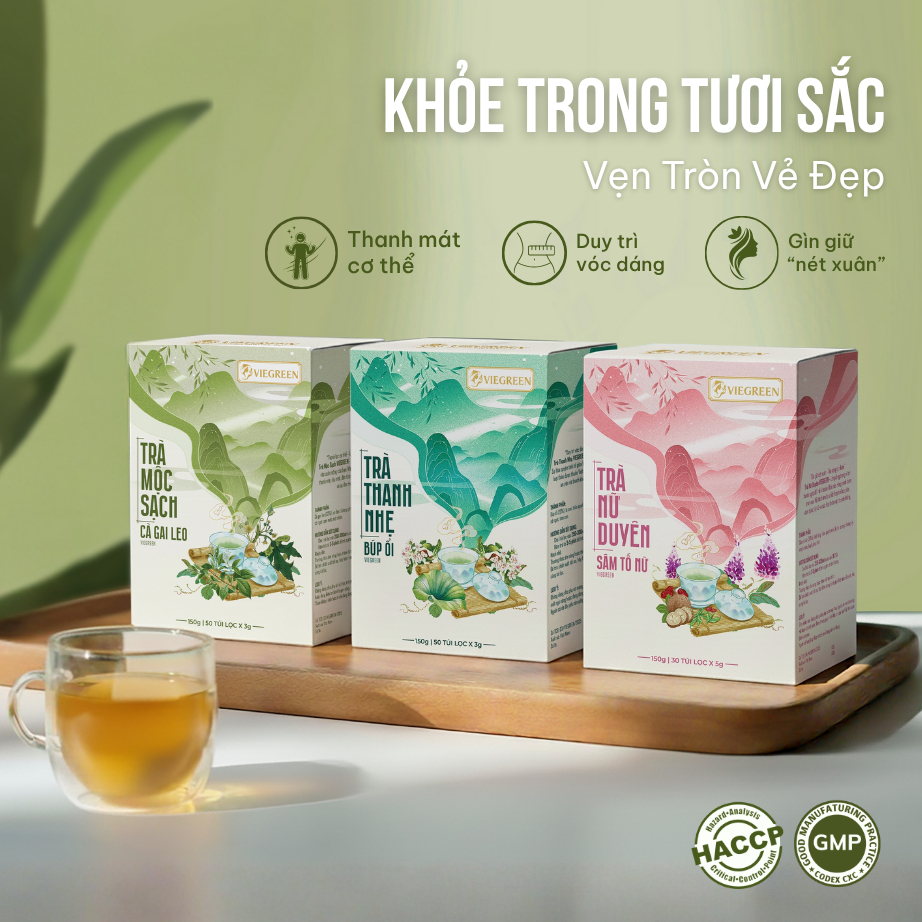 Combo 3 Trà Túi Lọc Sâm Tố Nữ + Búp Ổi + Cà Gai Leo VIEGREEN 30x5g + 50x3g + 50x3g, GMP HACCP
