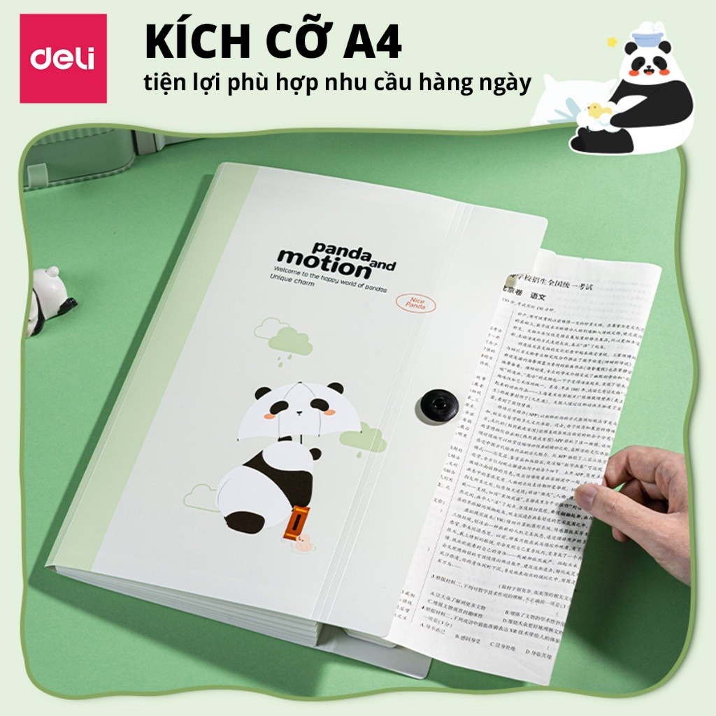 [Deli] Cặp Tài Liệu A4 8 Ngăn – Túi File PP Cao Cấp, Bền Đẹp, Dùng Cho Văn Phòng & Học Sinh