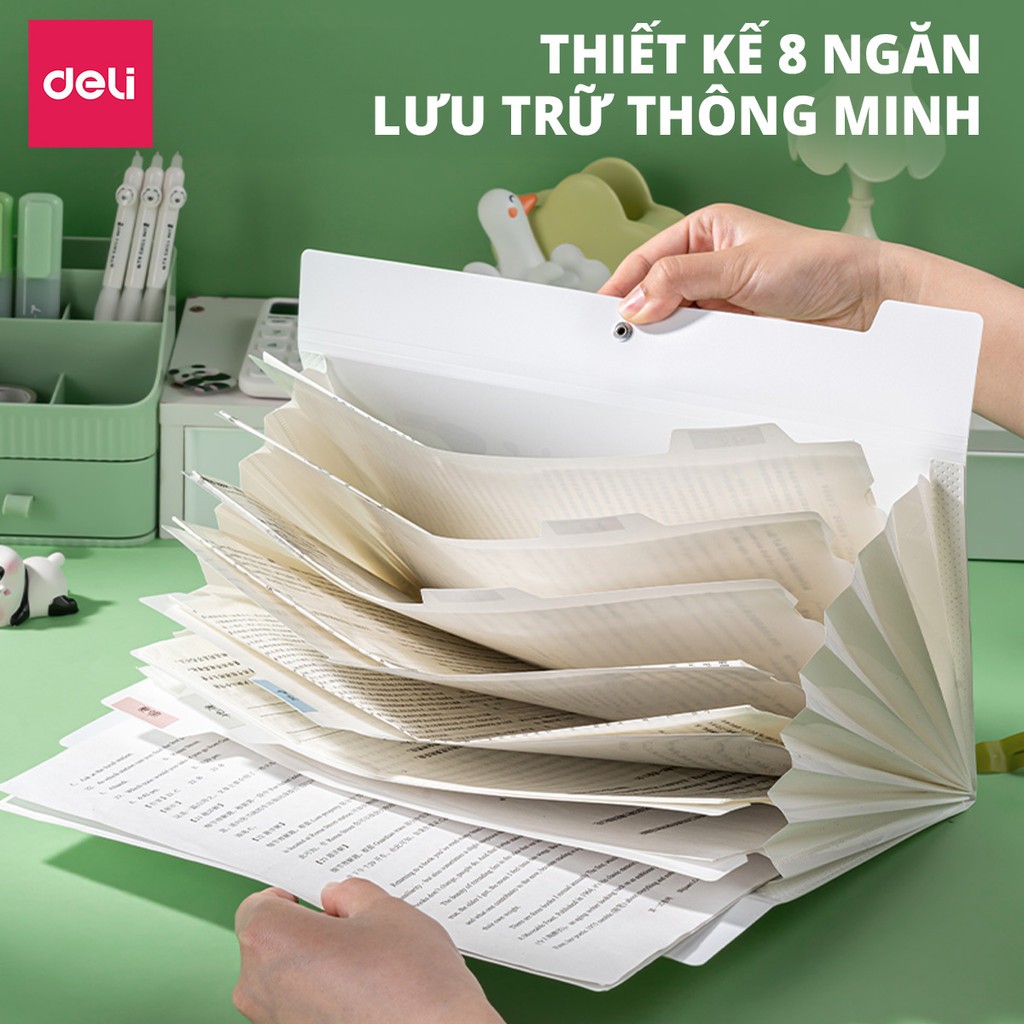 [Deli] Cặp Tài Liệu A4 8 Ngăn – Túi File PP Cao Cấp, Bền Đẹp, Dùng Cho Văn Phòng & Học Sinh