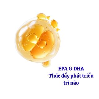 Hạt cho chó 6kg MOLIK hạt mix topping thịt sấy, sữa dê, 15 ngày hỗ trợ tiêu hóa, chó kén ăn