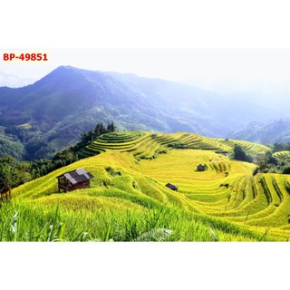 Tranh vải lụa kim sa thác nước thiên nhiên đầm sen, thác nước hùng vĩ khổ lớn