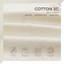Áo thun cao cấp DRILL, BST FAMILY BEAR, chất liệu Cotton 2C đứng form, thoáng mát - POLOMANOR