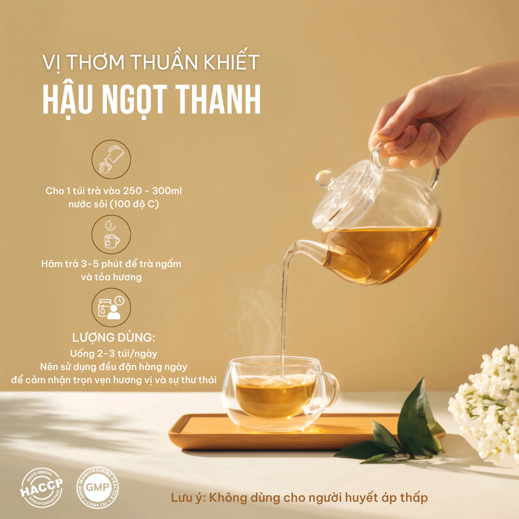 Combo 2 Hộp Trà Túi Lọc Đinh Lăng 60% VIEGREEN An Nhiên 50 Túi x 3g, Không Caffeine, Hương Nhài, GMP HACCP