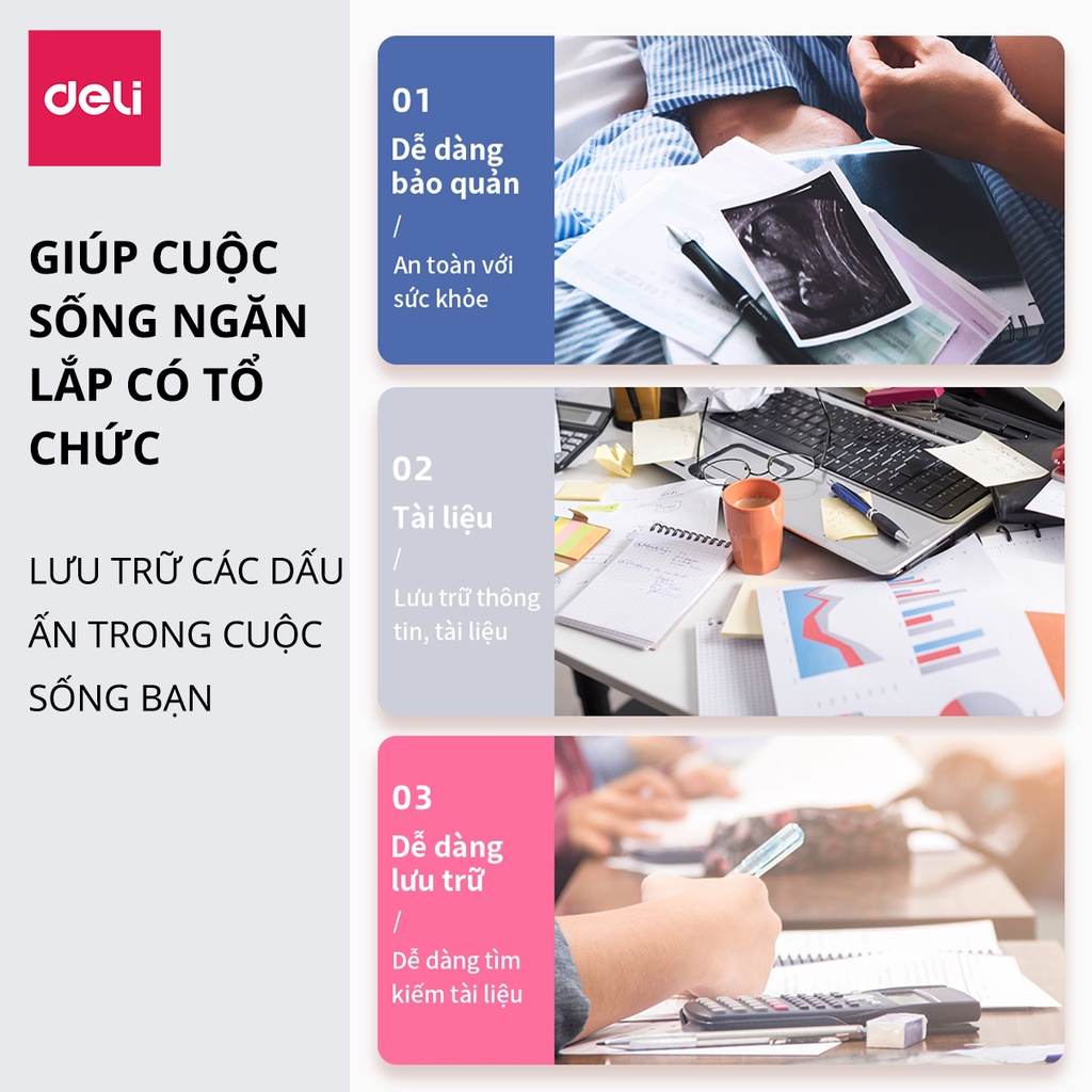 Bìa Lá Đựng Tài Liệu A4 Deli 30/40/60 Lá Màu Pastel Dễ Thương, Phù Hợp Học Sinh & Văn Phòng