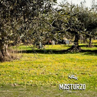 Dầu olive nguyên chất Bianco hiệu Masturzo – thùng 5L (Extra Virgin Olive Oil – White Label)