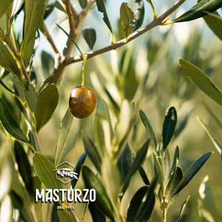 Dầu olive nguyên chất Bianco hiệu Masturzo – thùng 5L (Extra Virgin Olive Oil – White Label)