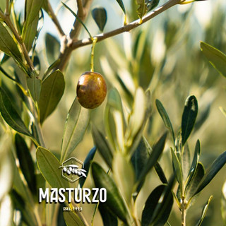 Dầu olive nguyên chất Verde hiệu Masturzo – Thùng 5L (Extra Virgin Olive Oil Green Label – Olio Masturzo 5L Tin)