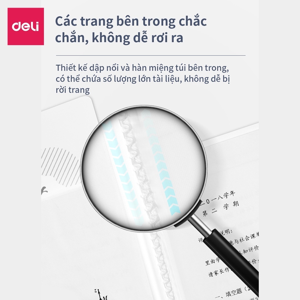 File Lá Đựng Tài Liệu Deli 30/40 Trang Nhiều Màu Dễ Thương, Sổ Giấy Khám Thai & Văn Phòng