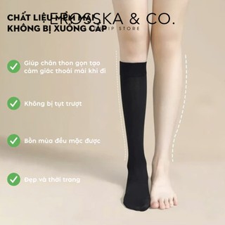 Tất trắng dài trơn, vớ lolita nữ cổ cao, dưới gối và qua gối chất liệu thun lạnh co giãn thoáng khí - ZL001