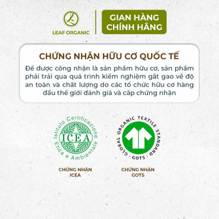 Tampon hữu cơ Silvercare với thiết kế cần đẩy, dễ sử dụng và an toàn cho sức khỏe